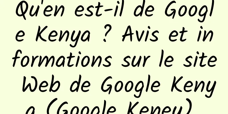 Qu'en est-il de Google Kenya ? Avis et informations sur le site Web de Google Kenya (Google Keney) 