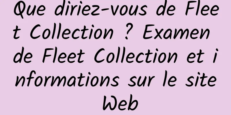Que diriez-vous de Fleet Collection ? Examen de Fleet Collection et informations sur le site Web