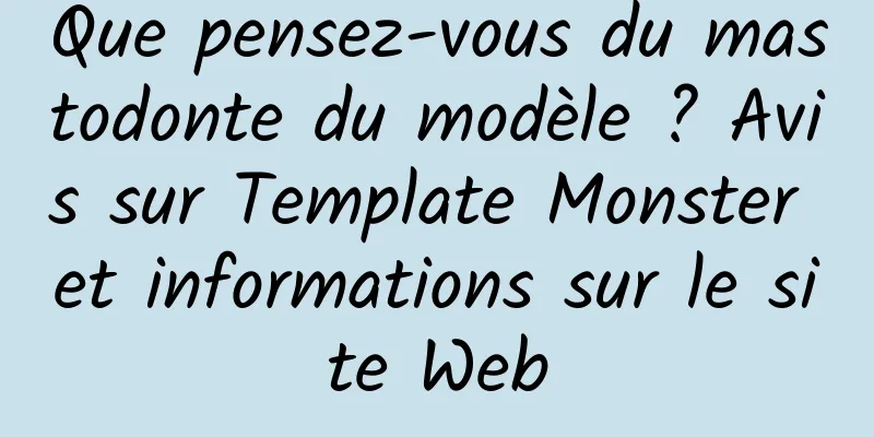 Que pensez-vous du mastodonte du modèle ? Avis sur Template Monster et informations sur le site Web