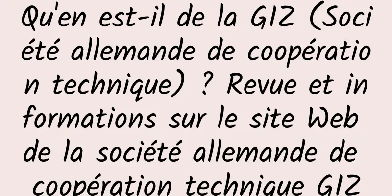 Qu'en est-il de la GIZ (Société allemande de coopération technique) ? Revue et informations sur le site Web de la société allemande de coopération technique GIZ