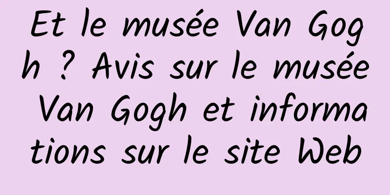 Et le musée Van Gogh ? Avis sur le musée Van Gogh et informations sur le site Web