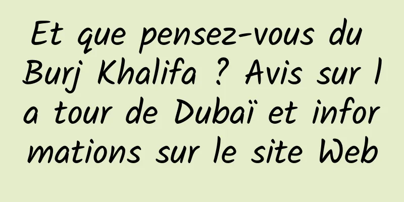 Et que pensez-vous du Burj Khalifa ? Avis sur la tour de Dubaï et informations sur le site Web