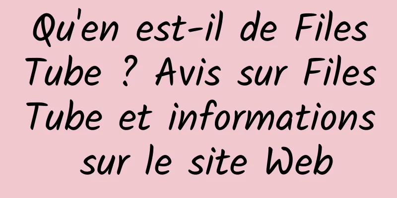 Qu'en est-il de FilesTube ? Avis sur FilesTube et informations sur le site Web
