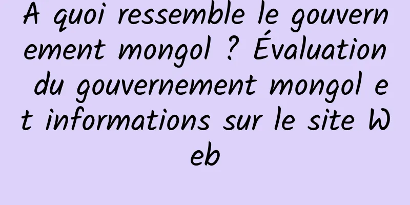 À quoi ressemble le gouvernement mongol ? Évaluation du gouvernement mongol et informations sur le site Web