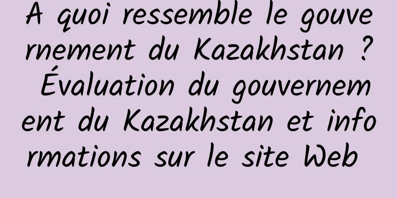 À quoi ressemble le gouvernement du Kazakhstan ? Évaluation du gouvernement du Kazakhstan et informations sur le site Web 