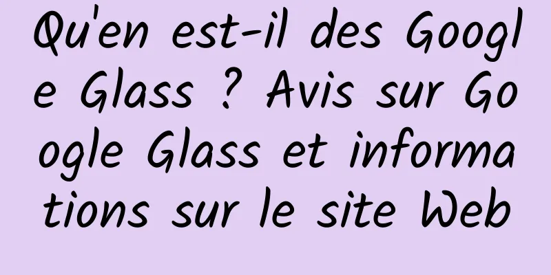 Qu'en est-il des Google Glass ? Avis sur Google Glass et informations sur le site Web
