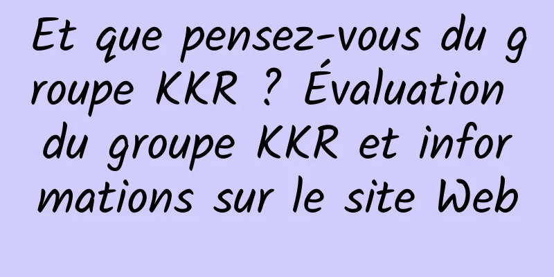 Et que pensez-vous du groupe KKR ? Évaluation du groupe KKR et informations sur le site Web