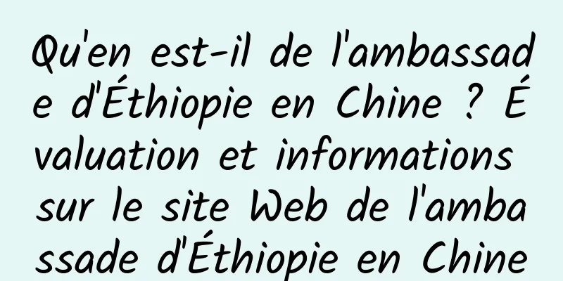 Qu'en est-il de l'ambassade d'Éthiopie en Chine ? Évaluation et informations sur le site Web de l'ambassade d'Éthiopie en Chine