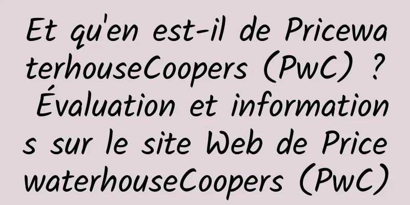 Et qu'en est-il de PricewaterhouseCoopers (PwC) ? Évaluation et informations sur le site Web de PricewaterhouseCoopers (PwC)