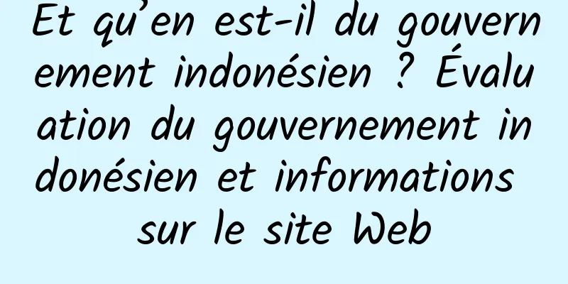 Et qu’en est-il du gouvernement indonésien ? Évaluation du gouvernement indonésien et informations sur le site Web