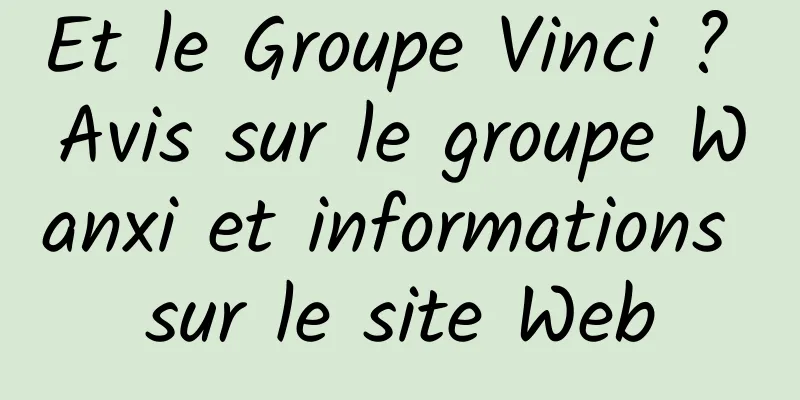 Et le Groupe Vinci ? Avis sur le groupe Wanxi et informations sur le site Web