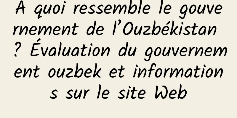 À quoi ressemble le gouvernement de l’Ouzbékistan ? Évaluation du gouvernement ouzbek et informations sur le site Web