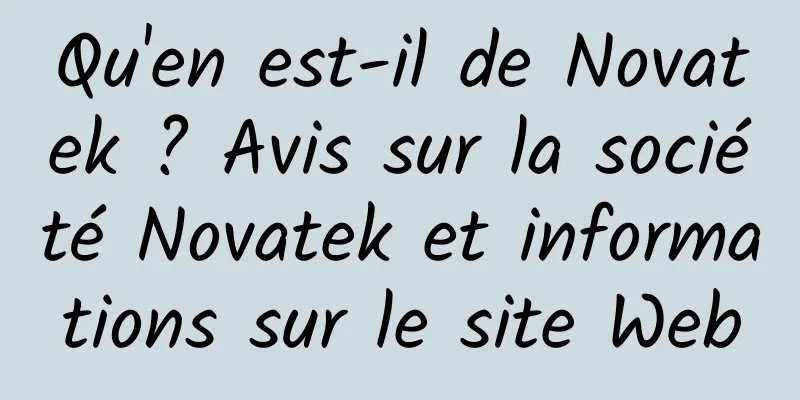 Qu'en est-il de Novatek ? Avis sur la société Novatek et informations sur le site Web