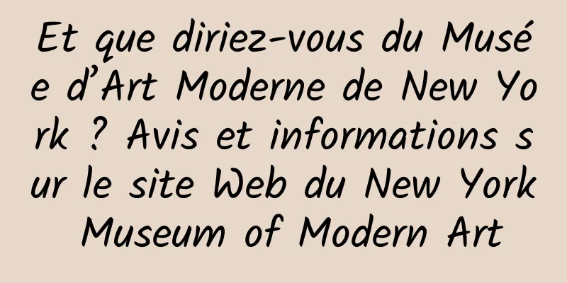 Et que diriez-vous du Musée d’Art Moderne de New York ? Avis et informations sur le site Web du New York Museum of Modern Art