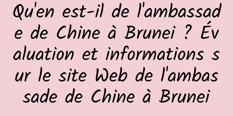 Qu'en est-il de l'ambassade de Chine à Brunei ? Évaluation et informations sur le site Web de l'ambassade de Chine à Brunei