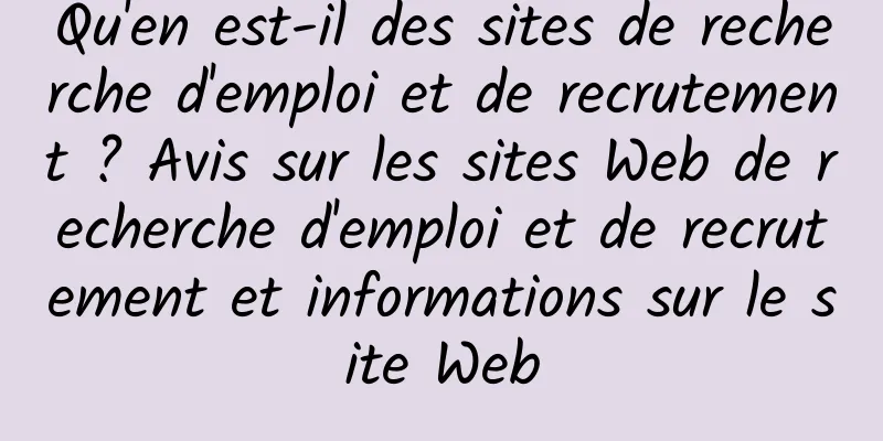 Qu'en est-il des sites de recherche d'emploi et de recrutement ? Avis sur les sites Web de recherche d'emploi et de recrutement et informations sur le site Web