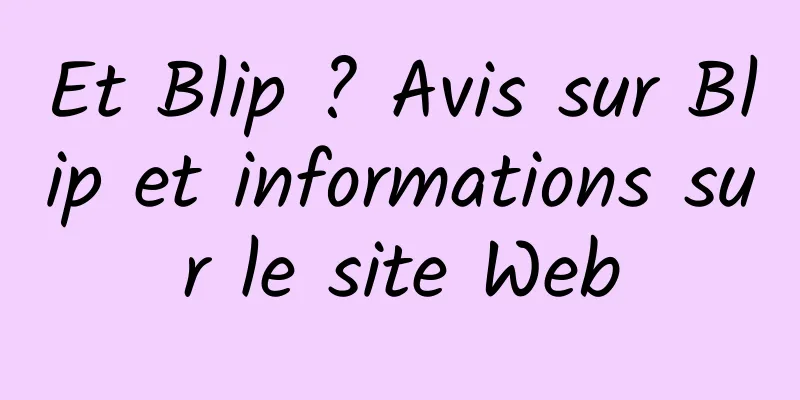 Et Blip ? Avis sur Blip et informations sur le site Web
