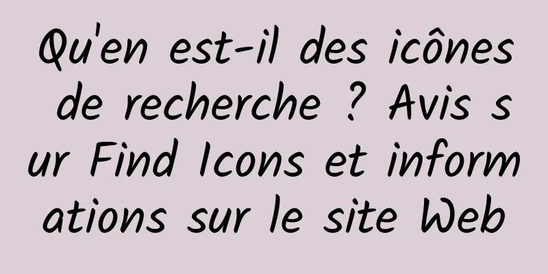 Qu'en est-il des icônes de recherche ? Avis sur Find Icons et informations sur le site Web