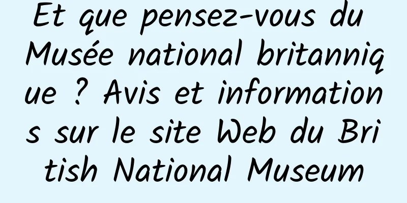 Et que pensez-vous du Musée national britannique ? Avis et informations sur le site Web du British National Museum
