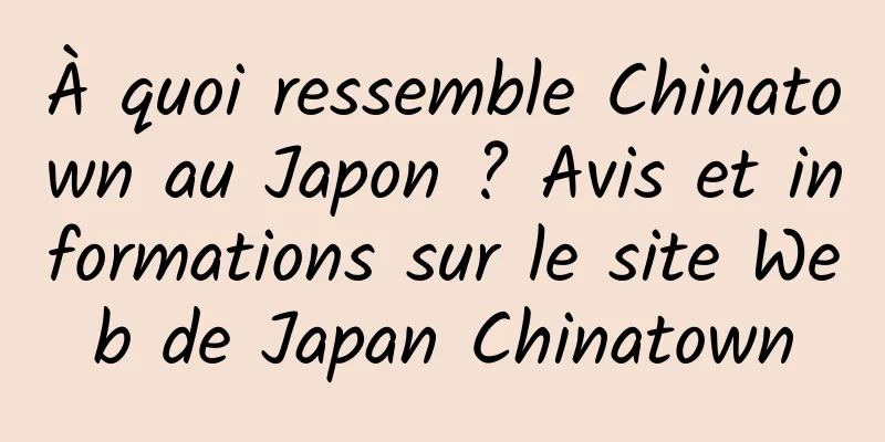 À quoi ressemble Chinatown au Japon ? Avis et informations sur le site Web de Japan Chinatown