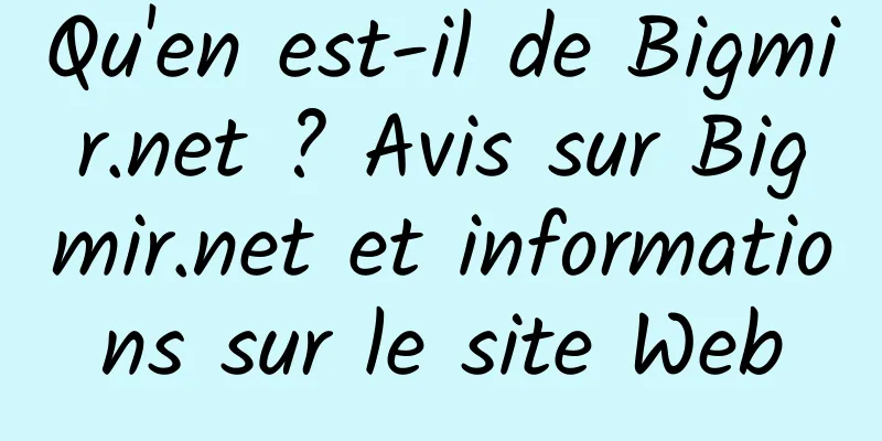 Qu'en est-il de Bigmir.net ? Avis sur Bigmir.net et informations sur le site Web