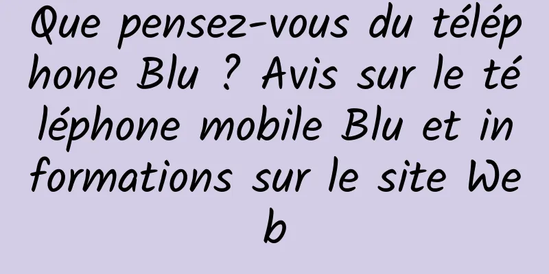 Que pensez-vous du téléphone Blu ? Avis sur le téléphone mobile Blu et informations sur le site Web