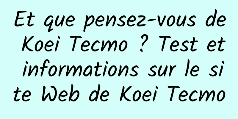 Et que pensez-vous de Koei Tecmo ? Test et informations sur le site Web de Koei Tecmo
