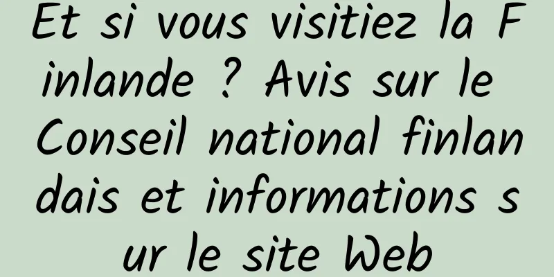 Et si vous visitiez la Finlande ? Avis sur le Conseil national finlandais et informations sur le site Web