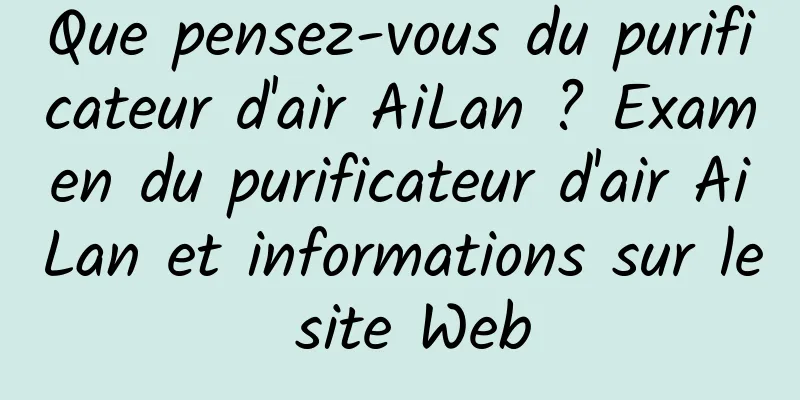 Que pensez-vous du purificateur d'air AiLan ? Examen du purificateur d'air AiLan et informations sur le site Web