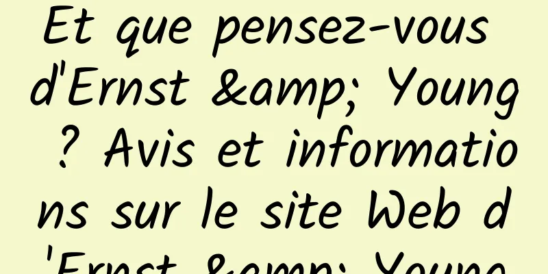 Et que pensez-vous d'Ernst & Young ? Avis et informations sur le site Web d'Ernst & Young