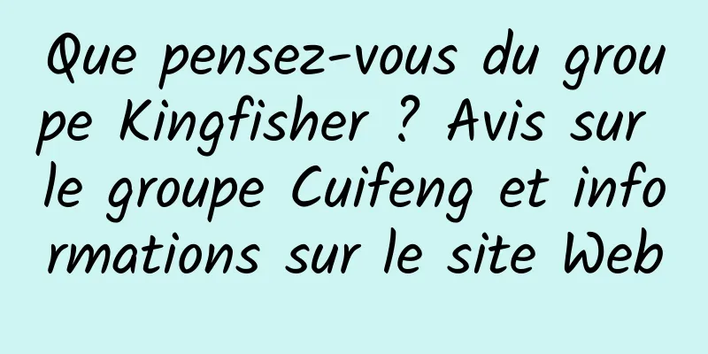 Que pensez-vous du groupe Kingfisher ? Avis sur le groupe Cuifeng et informations sur le site Web
