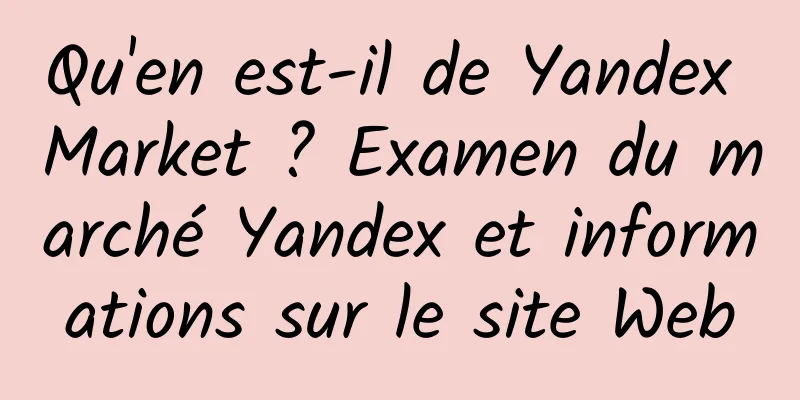 Qu'en est-il de Yandex Market ? Examen du marché Yandex et informations sur le site Web
