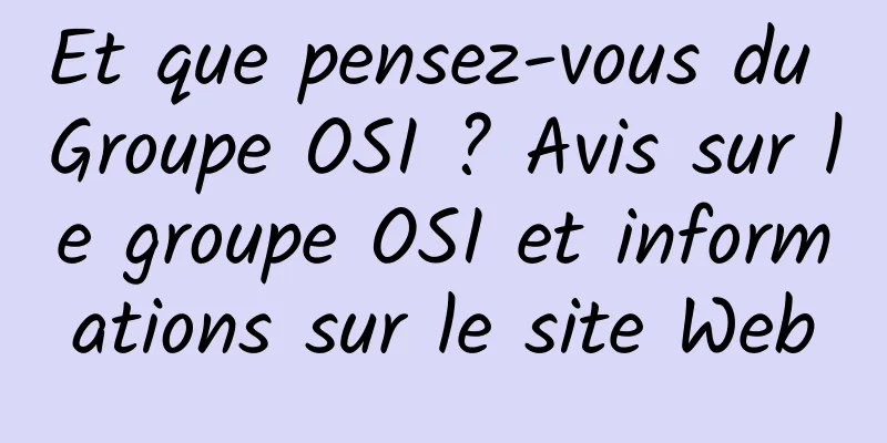 Et que pensez-vous du Groupe OSI ? Avis sur le groupe OSI et informations sur le site Web