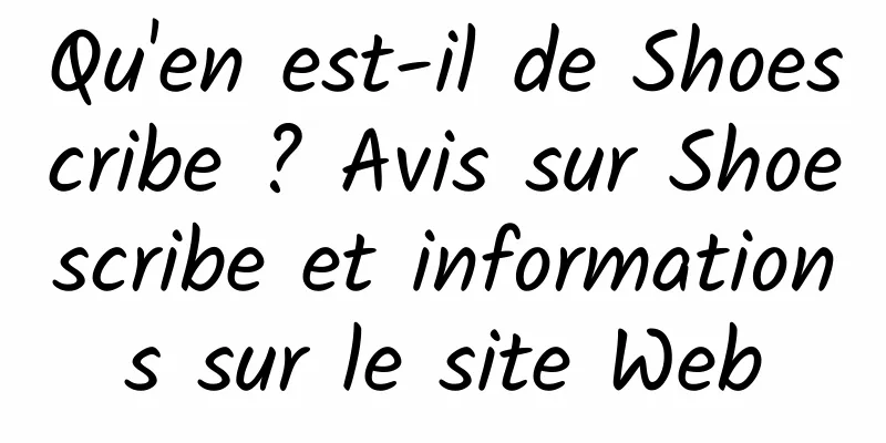 Qu'en est-il de Shoescribe ? Avis sur Shoescribe et informations sur le site Web
