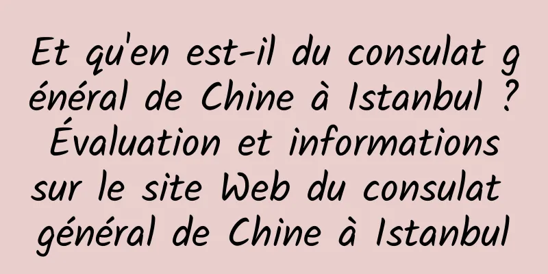Et qu'en est-il du consulat général de Chine à Istanbul ? Évaluation et informations sur le site Web du consulat général de Chine à Istanbul