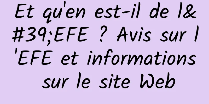 Et qu'en est-il de l'EFE ? Avis sur l'EFE et informations sur le site Web