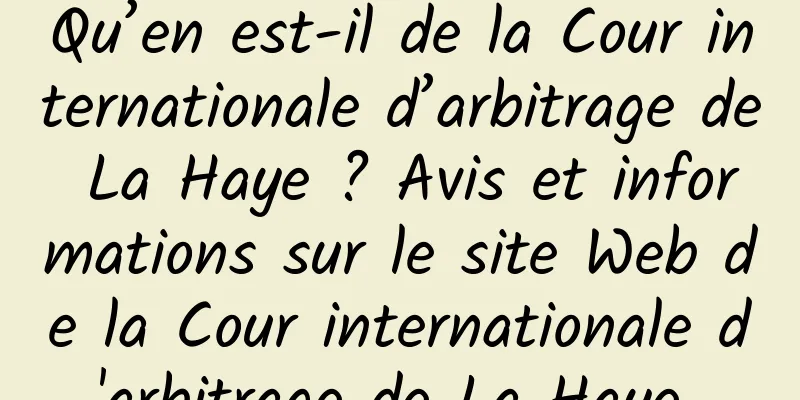 Qu’en est-il de la Cour internationale d’arbitrage de La Haye ? Avis et informations sur le site Web de la Cour internationale d'arbitrage de La Haye 