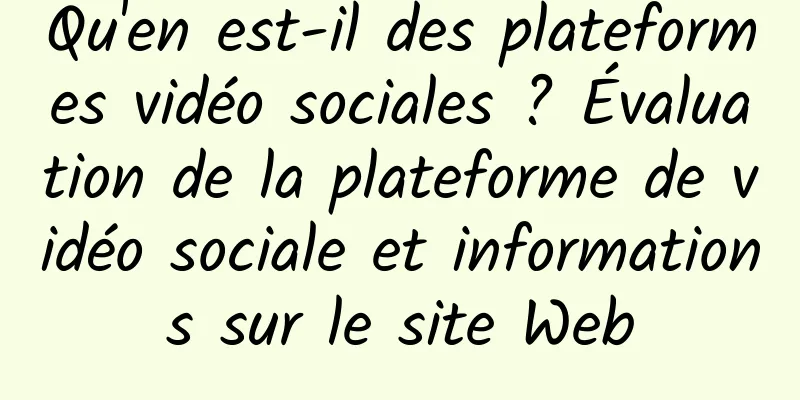 Qu'en est-il des plateformes vidéo sociales ? Évaluation de la plateforme de vidéo sociale et informations sur le site Web