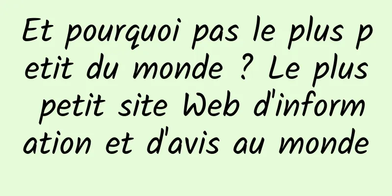 Et pourquoi pas le plus petit du monde ? Le plus petit site Web d'information et d'avis au monde