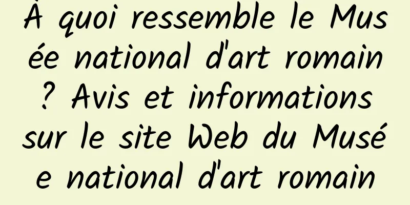 À quoi ressemble le Musée national d'art romain ? Avis et informations sur le site Web du Musée national d'art romain
