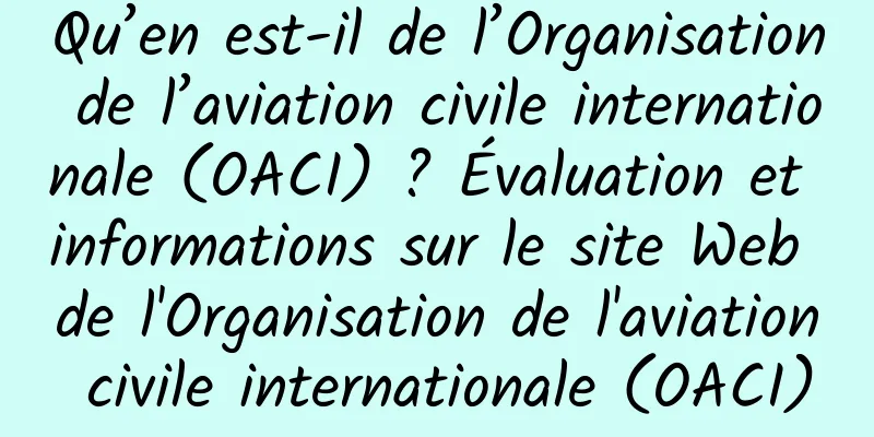 Qu’en est-il de l’Organisation de l’aviation civile internationale (OACI) ? Évaluation et informations sur le site Web de l'Organisation de l'aviation civile internationale (OACI)