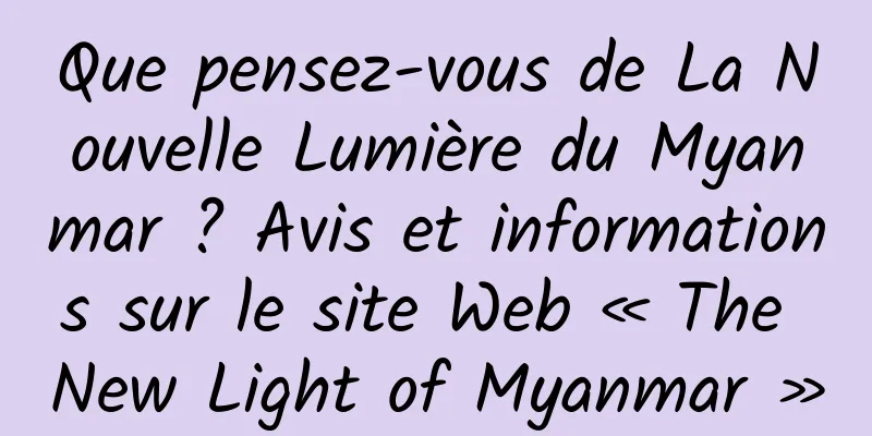 Que pensez-vous de La Nouvelle Lumière du Myanmar ? Avis et informations sur le site Web « The New Light of Myanmar »