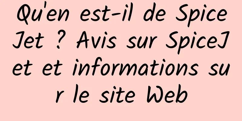 Qu'en est-il de SpiceJet ? Avis sur SpiceJet et informations sur le site Web