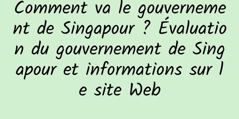 Comment va le gouvernement de Singapour ? Évaluation du gouvernement de Singapour et informations sur le site Web