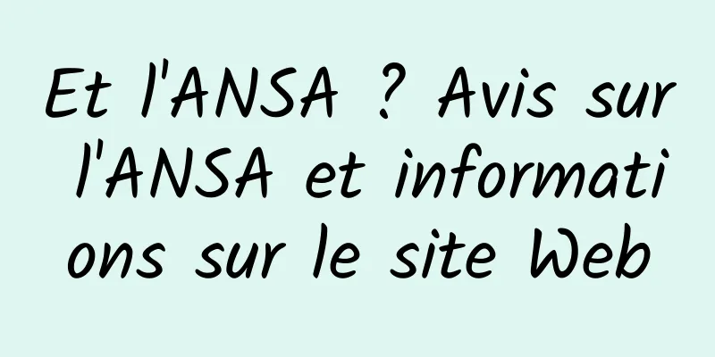 Et l'ANSA ? Avis sur l'ANSA et informations sur le site Web