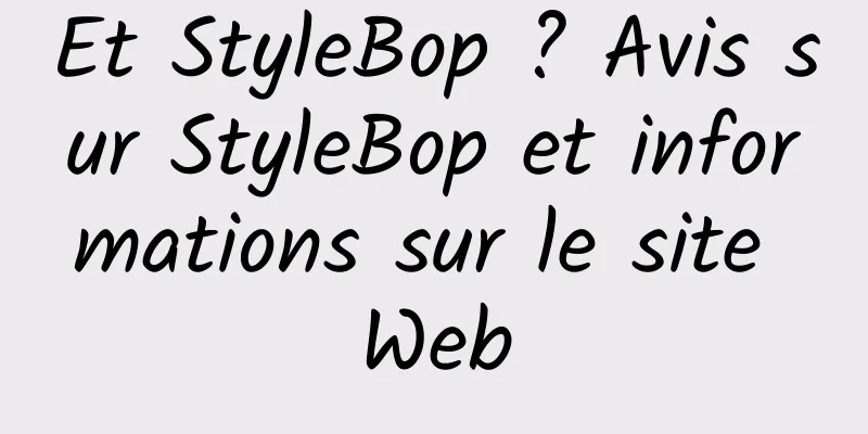 Et StyleBop ? Avis sur StyleBop et informations sur le site Web