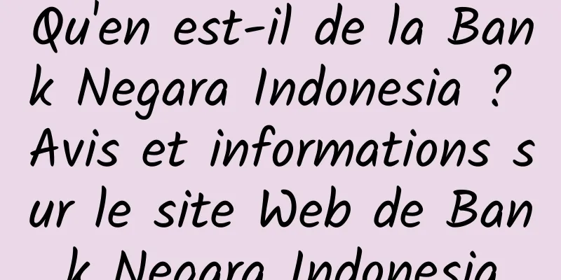 Qu'en est-il de la Bank Negara Indonesia ? Avis et informations sur le site Web de Bank Negara Indonesia