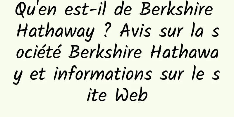 Qu'en est-il de Berkshire Hathaway ? Avis sur la société Berkshire Hathaway et informations sur le site Web