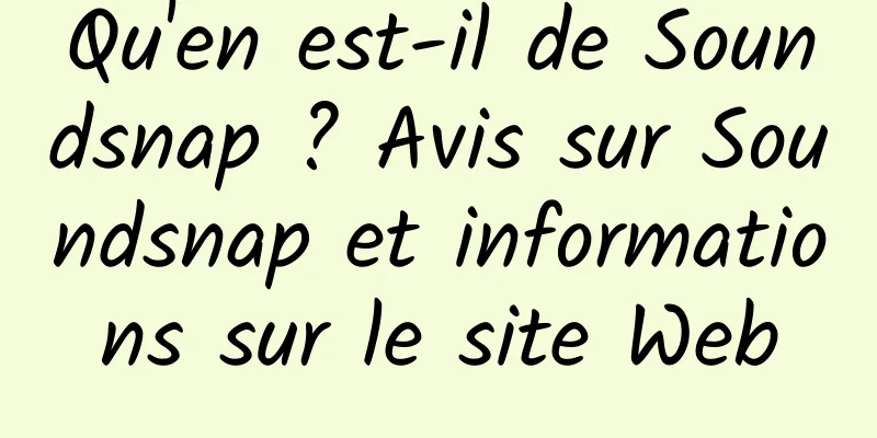 Qu'en est-il de Soundsnap ? Avis sur Soundsnap et informations sur le site Web