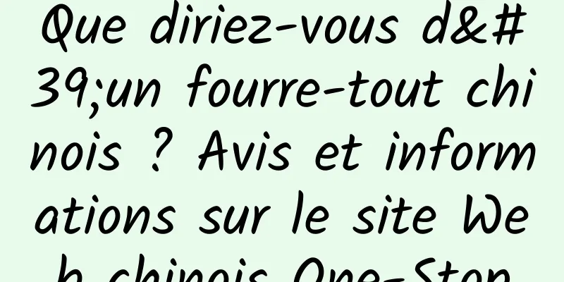 Que diriez-vous d'un fourre-tout chinois ? Avis et informations sur le site Web chinois One-Stop